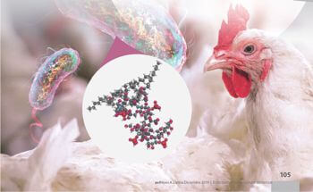 Endotoxins in commercial poultry