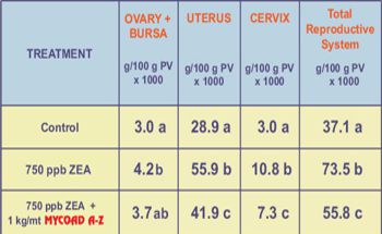 Poster AZ Vs. ZEA. in gilts