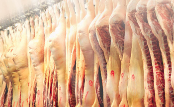 Mycotoxin Lesions in the slaughterhouse-pigs