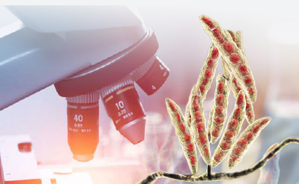 Mycotoxin Biomarkers
